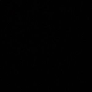 Meet your Posher, Noah